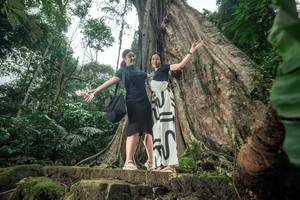 BIB: 
                            <button type="button" onclick="openModal(24810225)" class="btn btn-primary btn-sm float-right btn-popup" data-toggle="modal" data-target=".modal-high-quality">
                        <i class="fas fa-shopping-cart"></i> Add to Cart
                    </button>
                                            <button type="button" onclick="isThisMe(24810225, true)" class="btn btn-success btn-sm float-right btn-popup btn-isme hidden" data-toggle="tooltip" data-placement="bottom" title="นี่คือรูปของคุณใช่ไหม คลิกที่นี่เพื่อเอาเข้าอัลบั้ม">
                        <i class="fas fa-plus"></i> Add to album
                    </button>
                    <button type="button" onclick="isThisMe(24810225, false)" class="btn btn-warning btn-sm float-right btn-popup btn-isnotme hidden">
                        <i class="fas fa-ban"></i> Remove from album
                    </button>